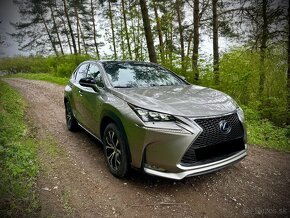 Lexus NX300h F-SPORT - 2