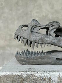 Replika lebky dinosaura Ceratosaurus Múzejná kvalita, 20cm - 2