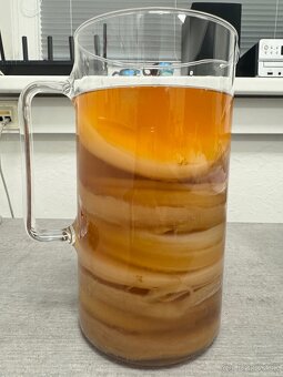 Kombucha/ Čajová Huba/ Scoby - 2