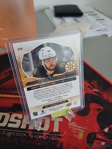 Hokejove karty / kartičky Pastrnak memo /149 - 2