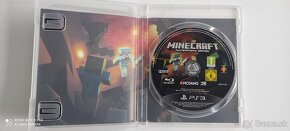 Minecraft (ps3) - 2