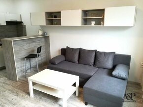 NA PRENÁJOM GARSÓNKA S BALKÓNOM, 26M2, HOLLÉHO UL., SENICA - 2