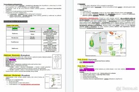 Poznámky z biológie - Systém rastlín - 2