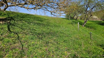 STAVEBNÝ POZEMOK PRE RD - ulica Surdok, Prešov - 2