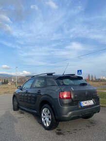 C4 cactus - automat - 2