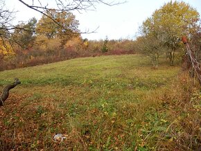 Na predaj poľnoh. pozemok v Hor. Moštenci v Pov. Bystrici - 2