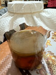 Scoby - 2