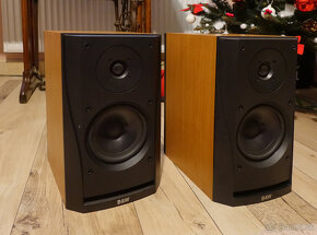 Bowers & Wilkins (B&W) - DM302 - 2