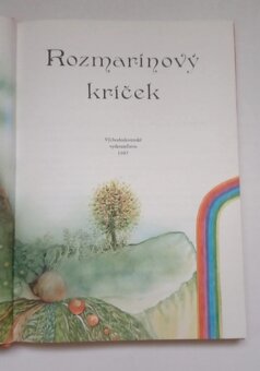 Rozmarínový kríček  (Maja Boskovic - Stulli) - 2