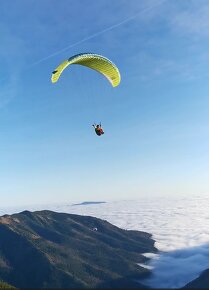 Paragliding krídlo Advance Alpha 6 26 ( 75 - 95 kg) - 2