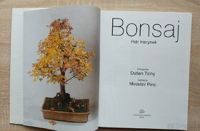 Bonsaj - 2