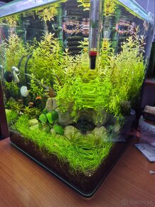 Prodam komplet zabehnute akvarium Dennerle 30L - 2