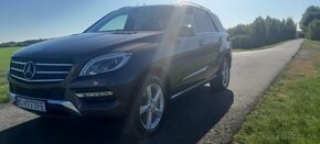 Predam Mercedes-Benz ML 350 BlueTec 4-Matic - 2