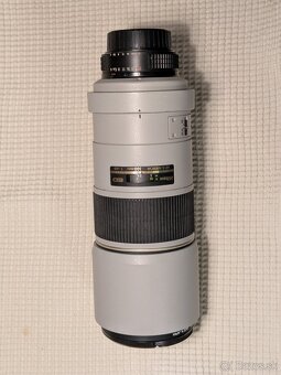 Nikon AF-S Nikkor 300mm f/4D IF-ED Silver - 2