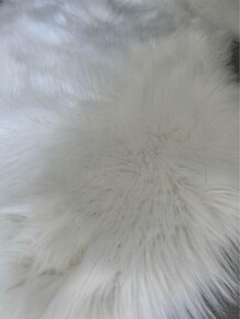 Biely jemný koberec - 2