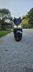 Honda forza 125 - 2