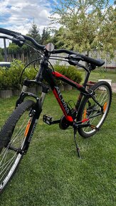 Bicykel Alpina - 2