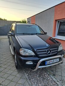 Predam Mercedes-benz ML270 - 2