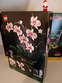 LEGO® Icons 10311 Orchidej - 2