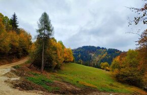 Predaj: Pozemok pri lese  na stavbu chaty v obci Veľké Rovné - 2