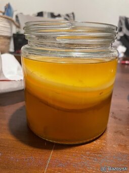 Kombucha scoby - 2