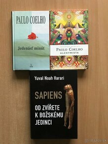 Anna Kareninová, Coelho , Harari - 2