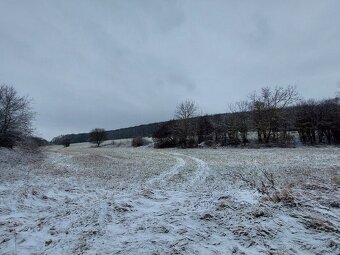 Rozľahlý pozemok pod lesom 1,7ha - 2