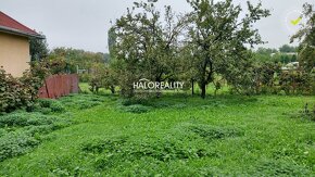 HALO reality - Predaj, pozemok pre rodinný dom   500 m2 Koši - 2