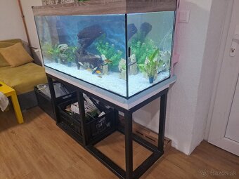 Akvarium 120x50x57 - 2