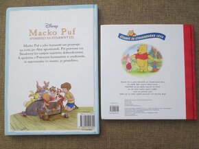 DISNEY: Macko Puf - 2