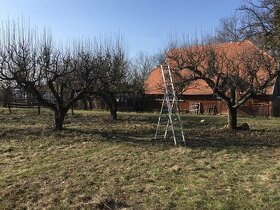 Realizácie záhrad,rez ovocných stromov a drevín - 2