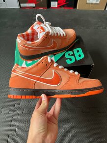 Nike Sb Dunk Low Orange Lobster - 2