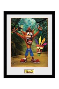 Crash Bandicooot  obraz - 2