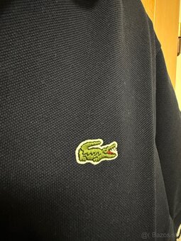 Lacoste polokosela - 2