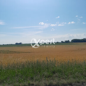 Predaj orná pôda v okrese Dunajská Streda - 2