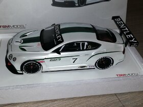 Bentley Continental GT3 Concept Car 1:18 - 2