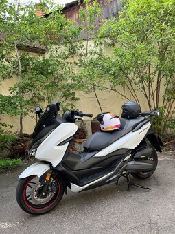 Honda Forza 125 - 2