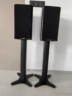 Dynaudio Special Forty Black Vine vysoký lesk - 2