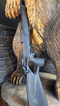 Blaser r8 sucess - 2