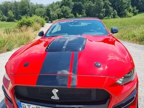 Ford Mustang Convertibile 5,0TI GT SHELBY Packet KIT - 2