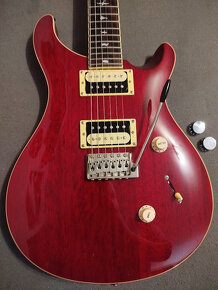 PRS SE Standard 24 - 2