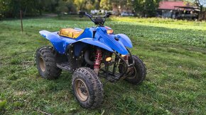 Polaris trail blazer 250 2takt - 2