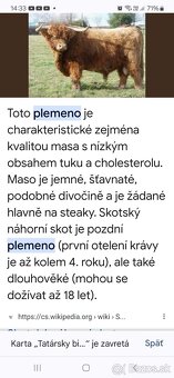 Predám telacie mäso - 2