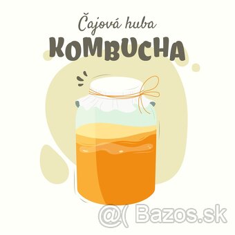 Kombucha čajová huba SCOBY - 2