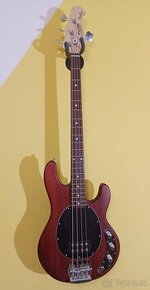 basgitara Sterling by Music Man S.U.B. Sting Ray 4 WS - 2