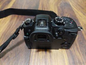 Panasonic GH5+sigma 150-600 C+Nikon 18-105+viltrox NF-M1 - 2