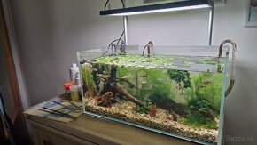 Akvarium 54l s technikou a osadenstvom - 2