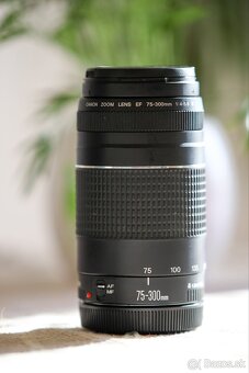 Canon 75-300 f4-5,6  III - 2