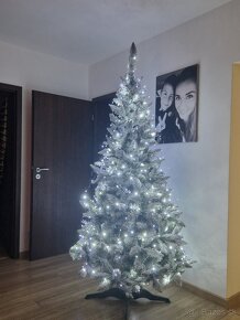 Vianočný stromček Sosna 220 cm - 2