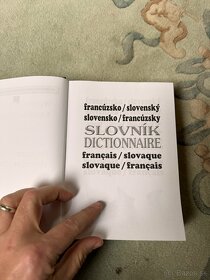 Francúzsko slovenský slovník - 2